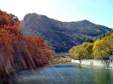 大三巴一肖二码最准，黑龙江旅游职业学院